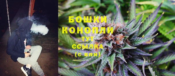 винт Богданович