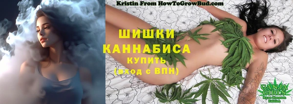 прущий лед Белокуриха
