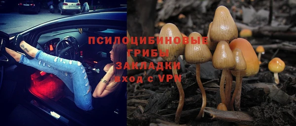 прущие грибы Белоозёрский